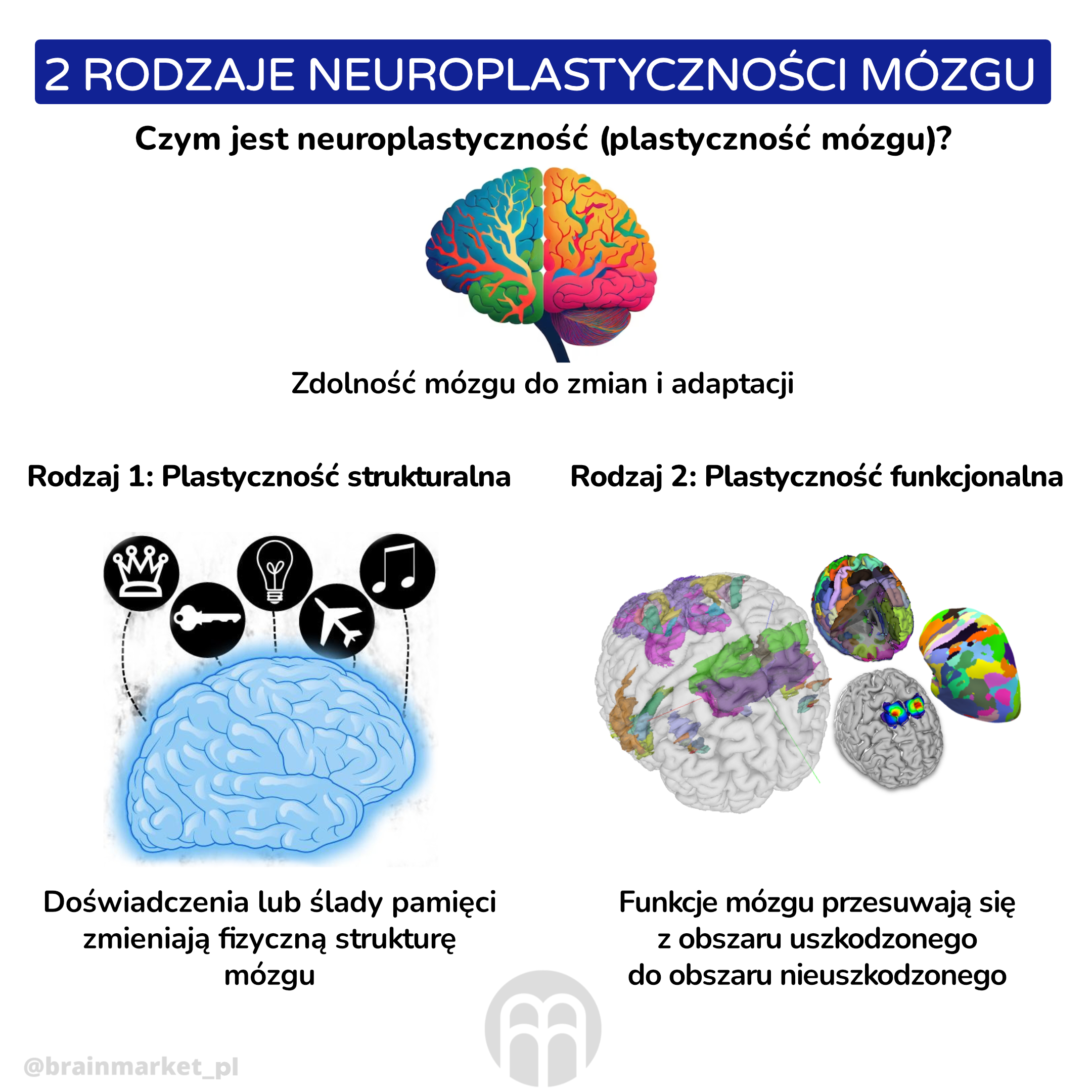 2 typy mozkové neuroplasticity _inforgafika_pl